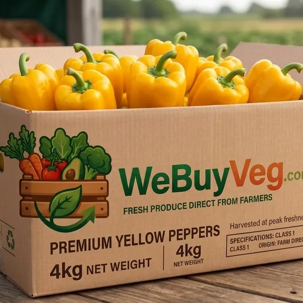 4kg box yellow peppers