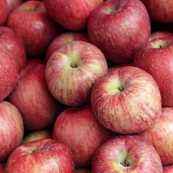 1kg Apples