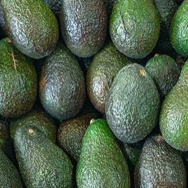 1Kg Avocardo's