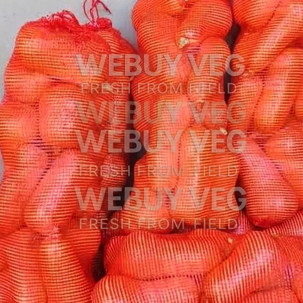 7Kg butternut