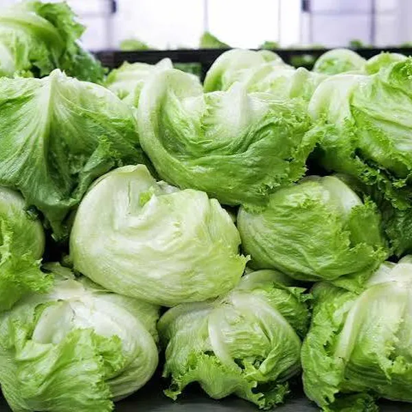 1 head lettuce