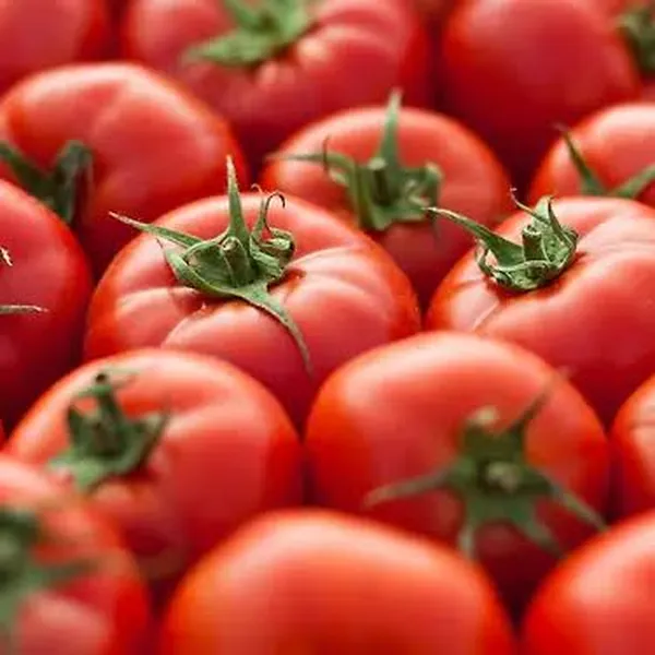 1kg Tomatoes
