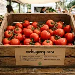 6kg box saladet tomatoes