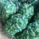Green Pepper 10kg bag