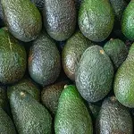 1Kg Avocardo's