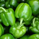 500g green peppers