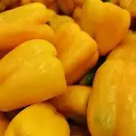 500g yellow peppers